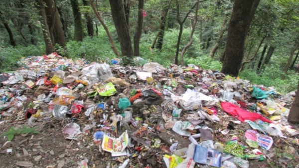Garbage_amid_trees