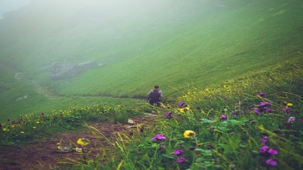 Trekking_in_Pandav_Sera_valley