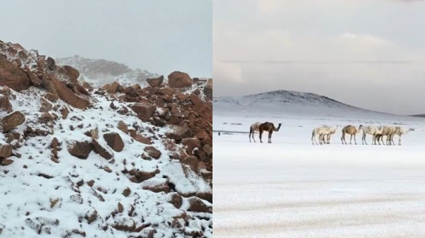 People were mesmerised by the rare sight of snowfall in a desert landscape