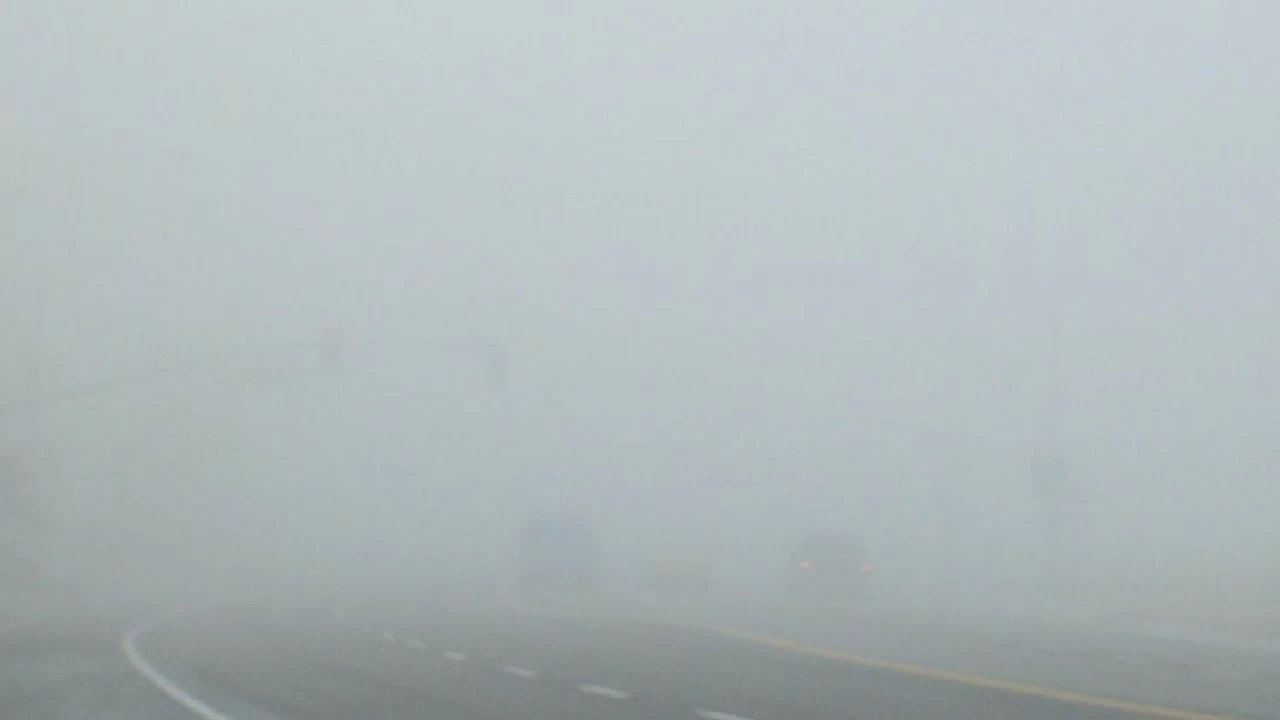 Chennai weather: Dense fog has covered several parts of the city, significantly reducing visibility in the areas.