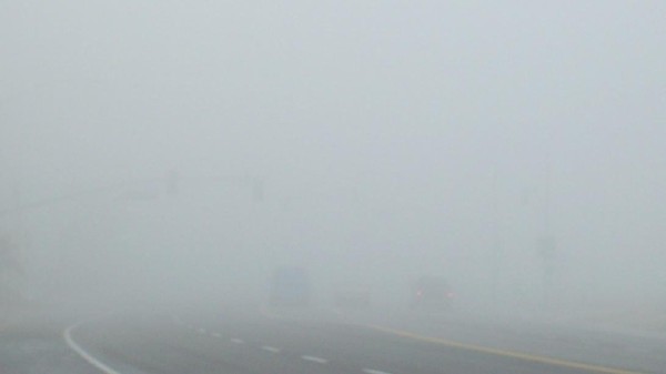 Chennai weather: Dense fog has covered several parts of the city, significantly reducing visibility in the areas.