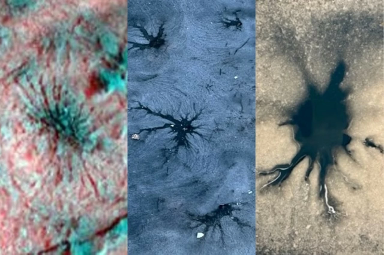 The feature on Europa being studied. 