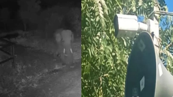 These cameras can detect wild elephants when they are about 150 meters away and drive them away by making loud noises