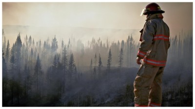 Pollution is a silent contributor to eye problems.