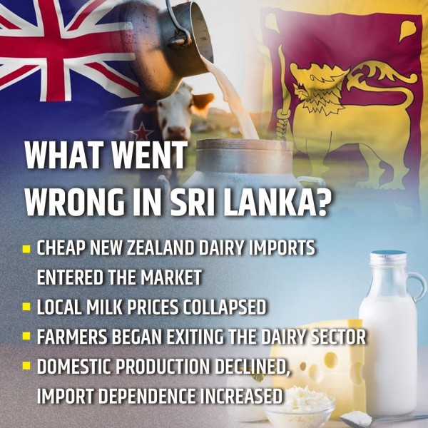 Sri Lanka Dairy Sector