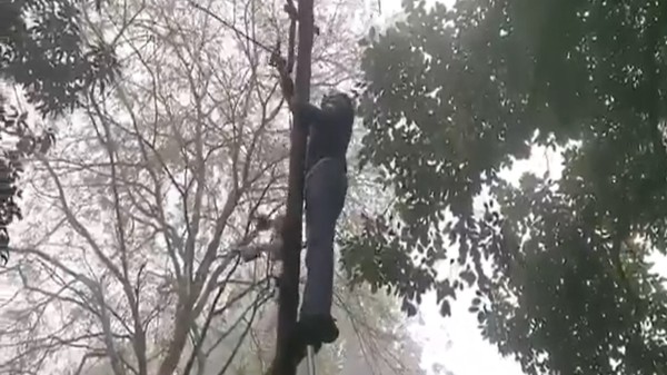 Congress MLA Virendra Jati climbed electricity poles and snapped supply to the residences of three power department officials. (Screengrab: X)