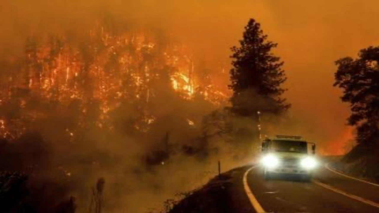 Despite severe cold in the Himalayas, Uttarakhand has reported 16 forest fire incidents in just one week.