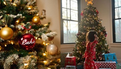 Inside B -Town Christmas 2025 celebrations — See who did what