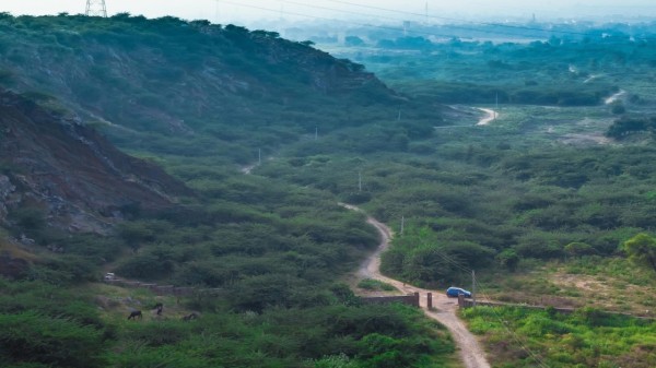 Aravali_Hills_two