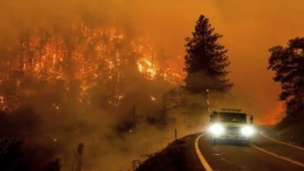 Despite severe cold in the Himalayas, Uttarakhand has reported 16 forest fire incidents in just one week.