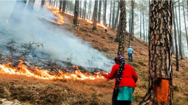 Forest_Fire_Haze_new