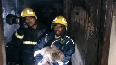 Preliminary information points to a suspected gas cylinder blast.