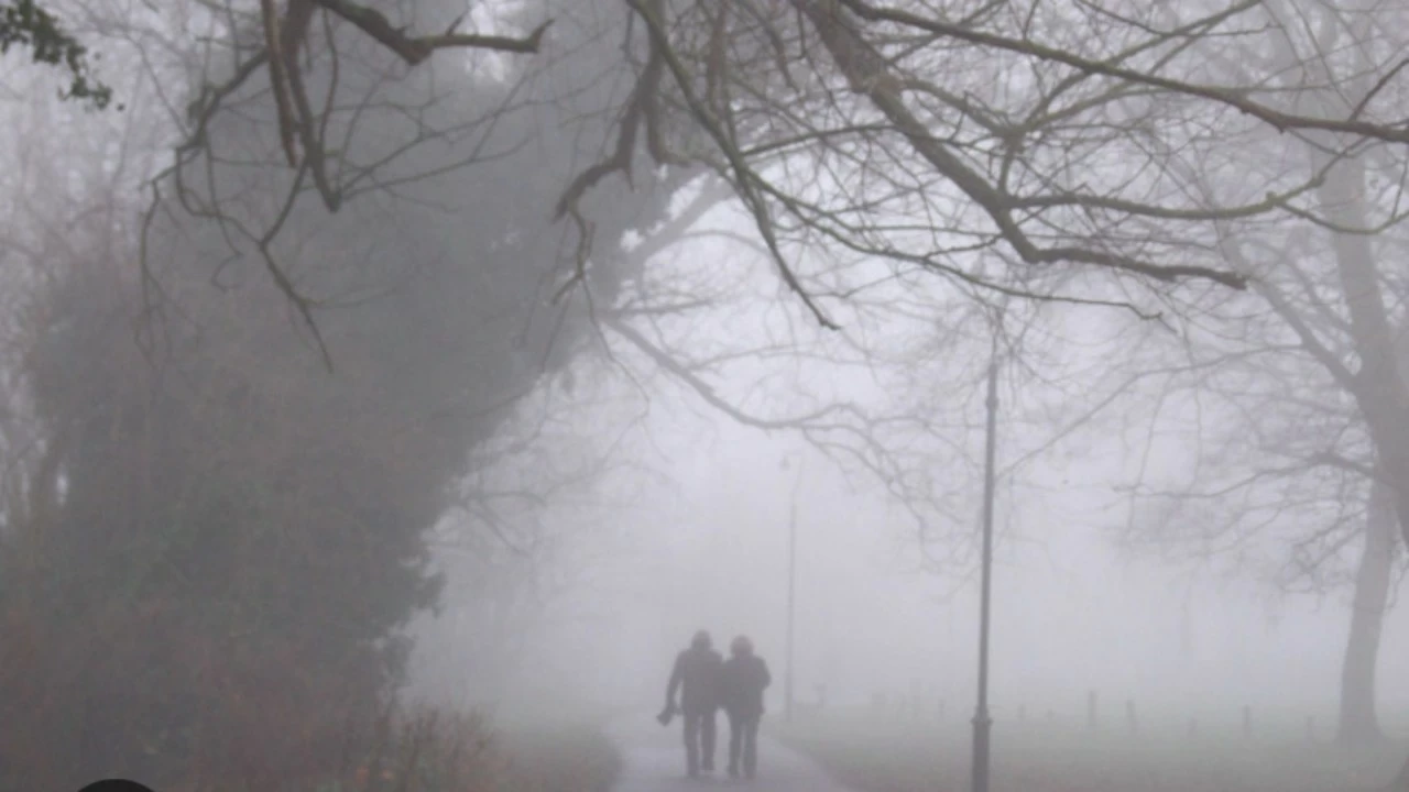 The Meteorological Department has issued a yellow alert for dense fog in six districts, including Dehradun, Haridwar, Nainital, Champawat, Pauri, and Udham Singh Nagar.
