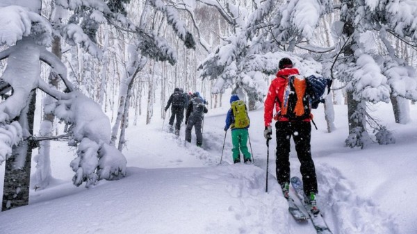 Plan perfect powder snow skiing vacation across global top destinations