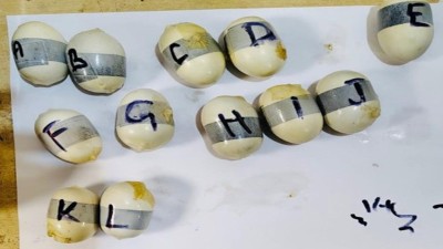 DRI officials seized 12 capsules from the accused.