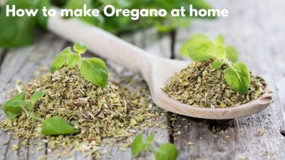 You won’t believe how easy it is to make oregano at home kitchen 
