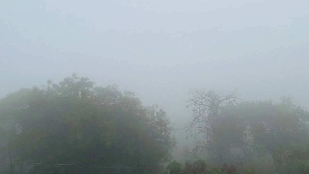 Dense fog blankets various parts of Telangana. (Picture for representation).