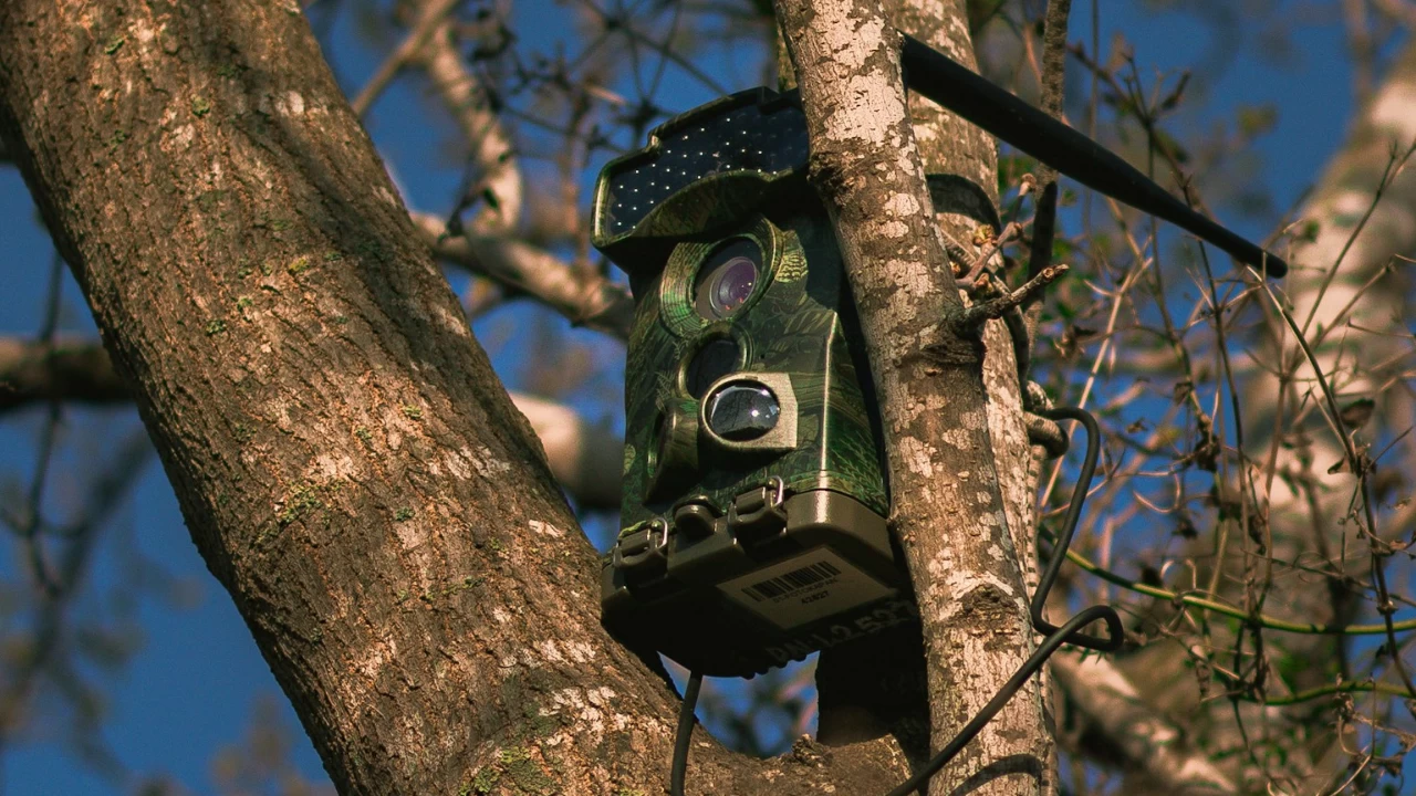 According to reports, local people suspected a youth of having done the deed. (Photo credit: Unsplash)