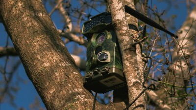 According to reports, local people suspected a youth of having done the deed. (Photo credit: Unsplash)