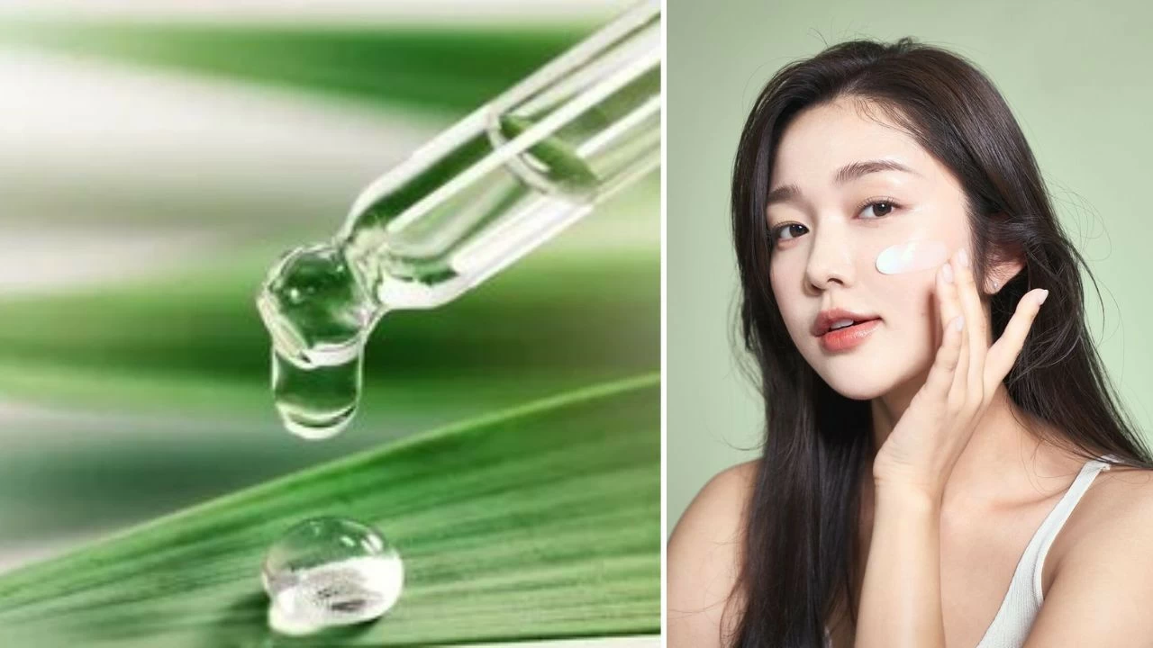 Why tiger grass is everywhere in Korean skincare right now (Picture credit: Pinterest)