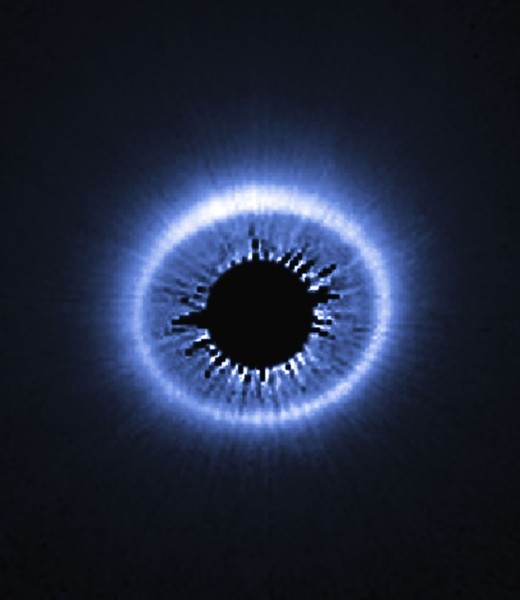 The circumstellar disk around HD 181327. 