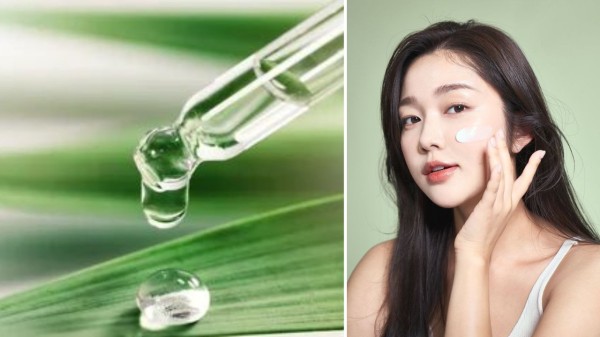 Why tiger grass is everywhere in Korean skincare right now (Picture credit: Pinterest)