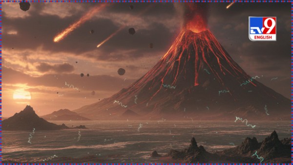 Illustration of an RNA World. 