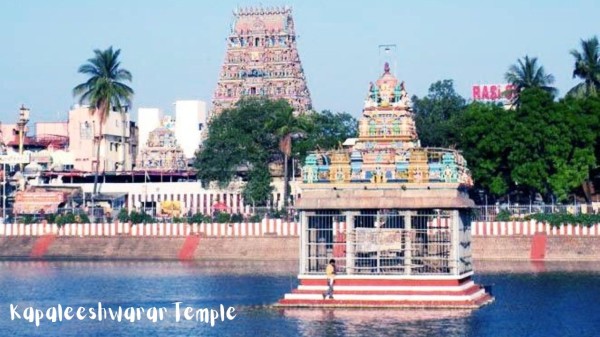 Experience Pongal 2026 in Tamil Nadu at these culturally rich destinations