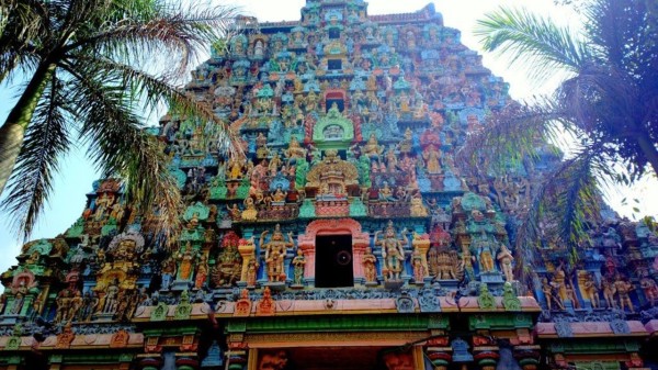 Experience Pongal 2026 in Tamil Nadu at these culturally rich destinations