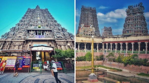 Experience Pongal 2026 in Tamil Nadu at these culturally rich destinations