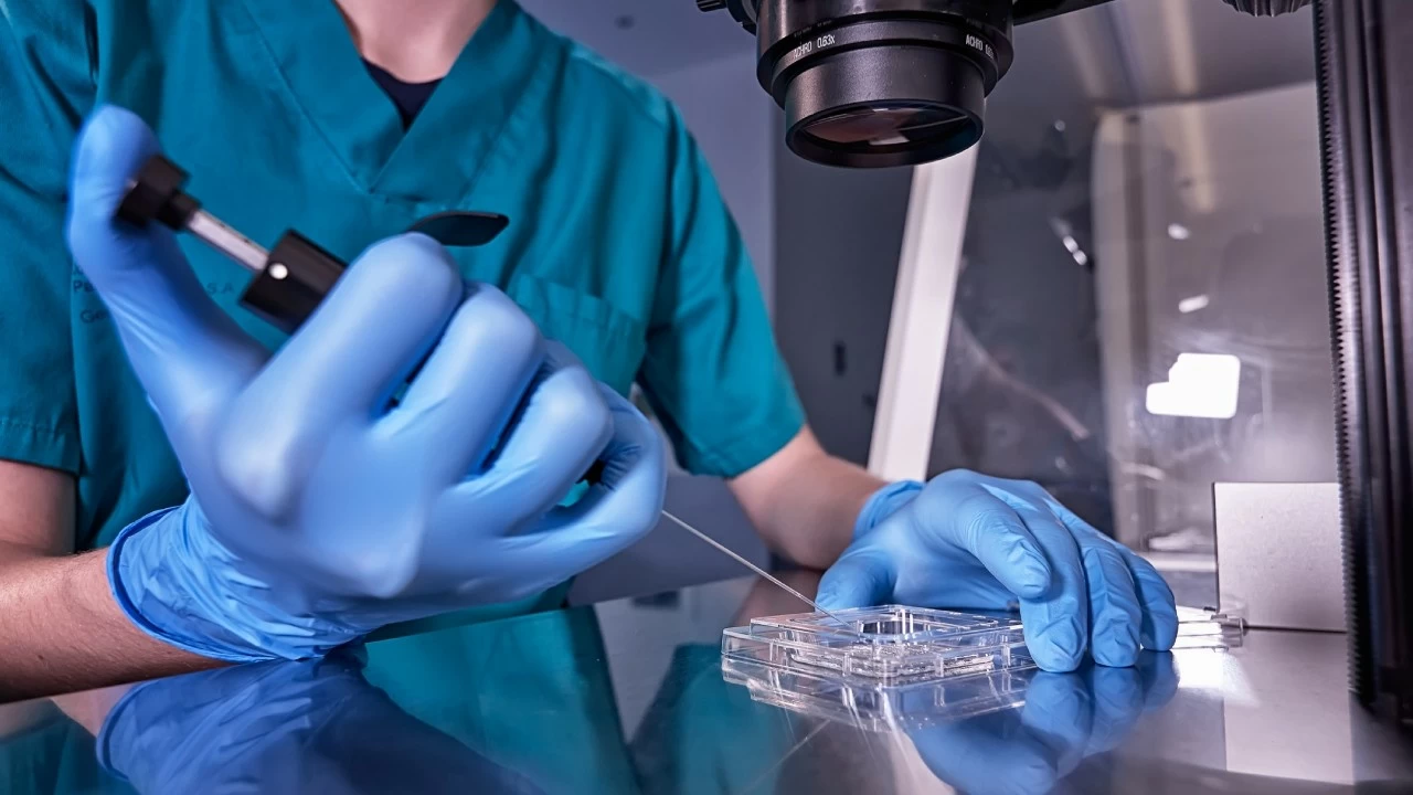 PCOS and endometriosis can make pregnancy difficult, but they do not mean that it is impossible.