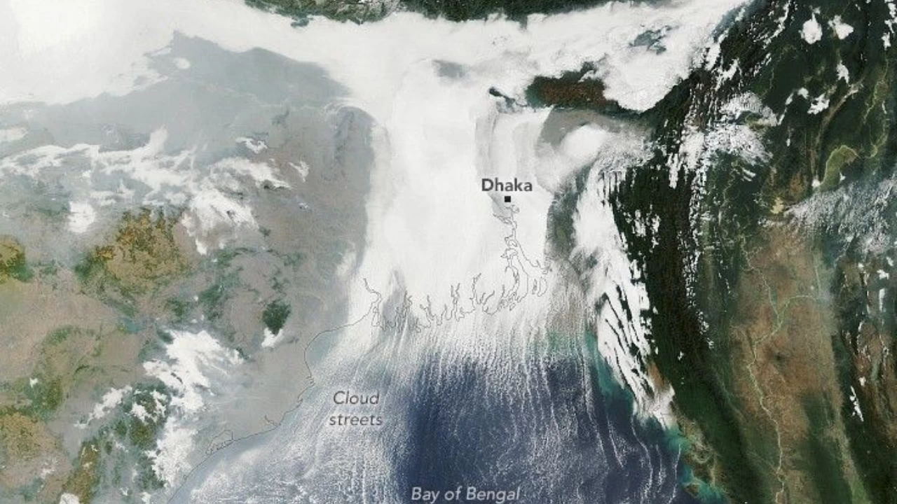 The poor visibility caused major disruptions to flights, trains, and road travel across the region.