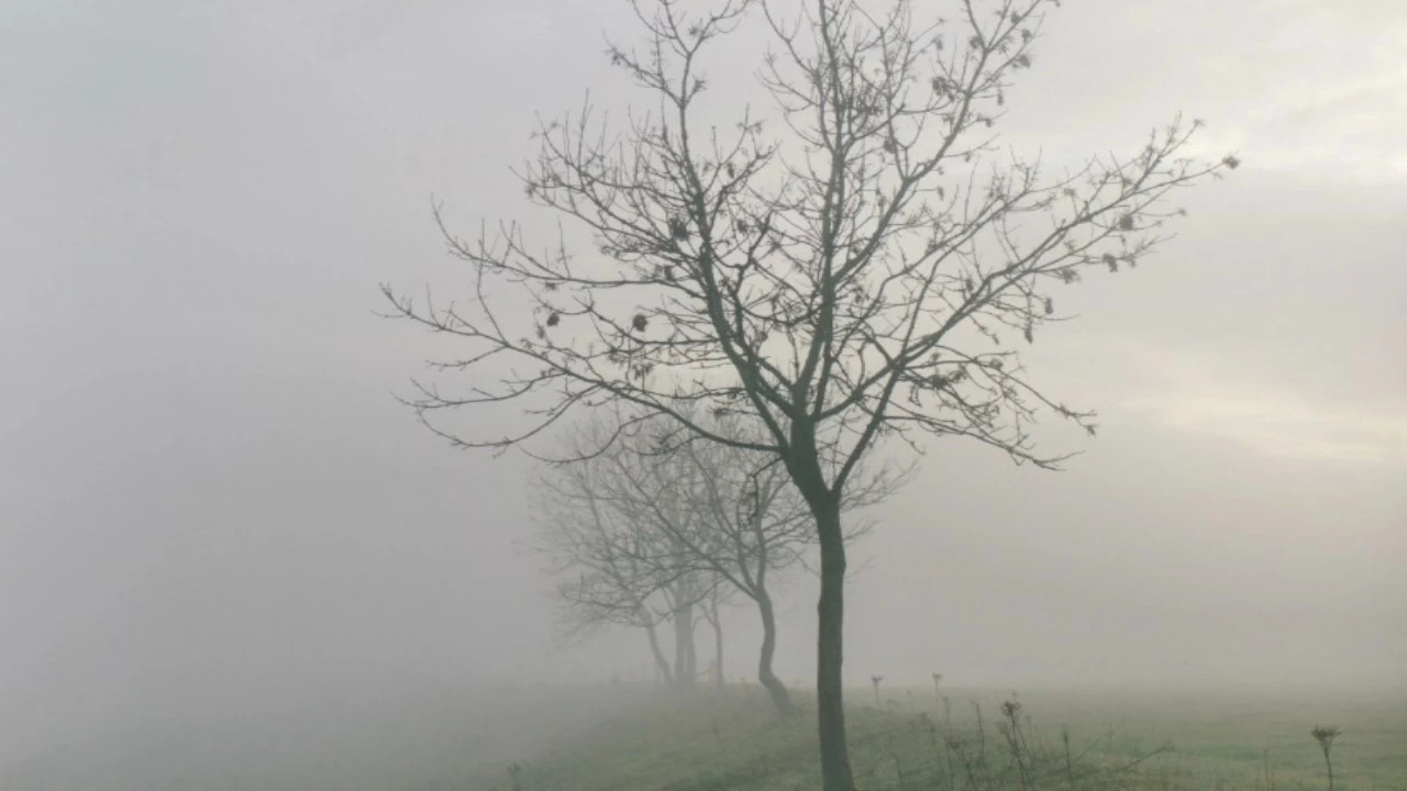 The Meteorological Center has issued a yellow alert for dense fog in six districts—Dehradun, Udham Singh Nagar, Haridwar, Nainital, Champawat, and Pauri.