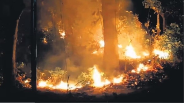 Forest_fire_in_Uttarakhand_(3)