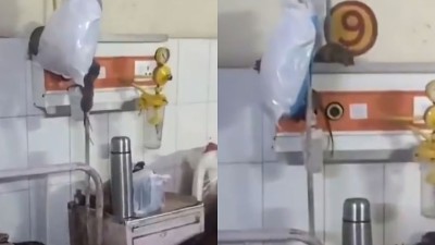 Pest control measures were immediately carried out in the wards after the video surfaced