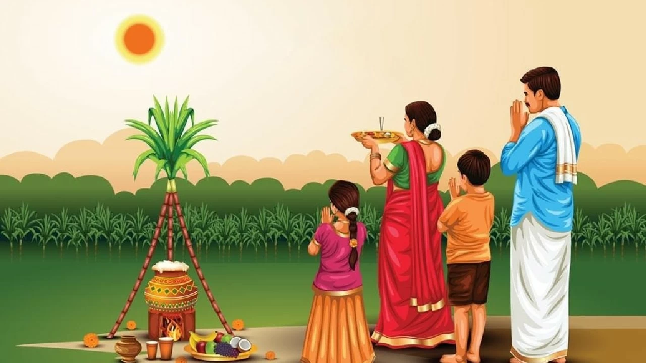 Pongal celebrations this year carry a special resonance, coming after a season of satisfactory harvests and amidst ongoing cultural conversations about Tamil identity and tradition.