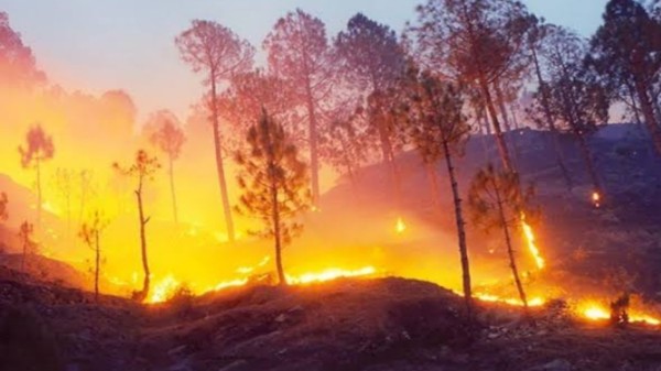 The Nanda Devi Forest fire has highlighted the vulnerability of Uttarakhand’s fragile ecosystems. 