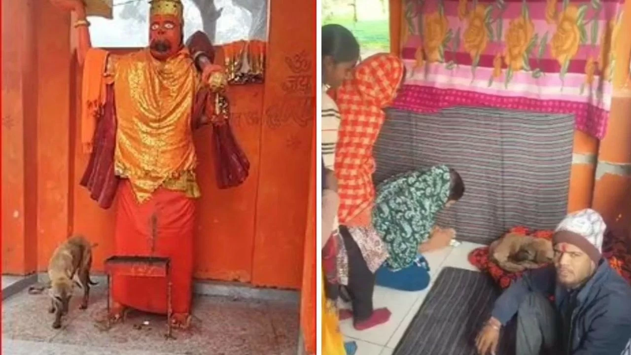 Devotees visiting the temple have begun bowing their heads before the dog.
