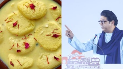 Balasaheb Thackeray's nephew used that term to mock Annamalai, a prominent BJP leader in Tamil Nadu, during his election campaigns. (Photo credit: TV9)