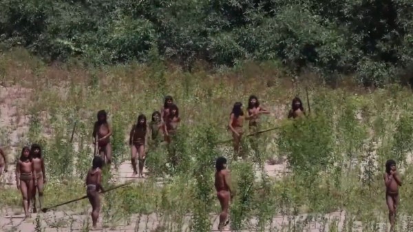 Conservationist captures rare footage of isolated Mashco Piro Tribe in Peru’s Amazon | VIDEO