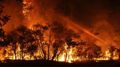 The massive fire in Kedar Valley underlines the vulnerability of Uttarakhand’s forests, where dry conditions and difficult terrain make firefighting a daunting task. 