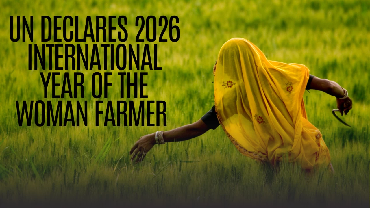 Almost 80% of the agricultural workforce comprises farmers with small land holdings, making it critical to address their most pressing challenges, point out analysts.