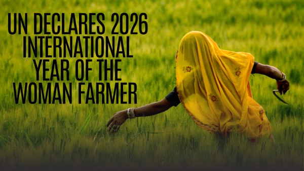 Almost 80% of the agricultural workforce comprises farmers with small land holdings, making it critical to address their most pressing challenges, point out analysts.