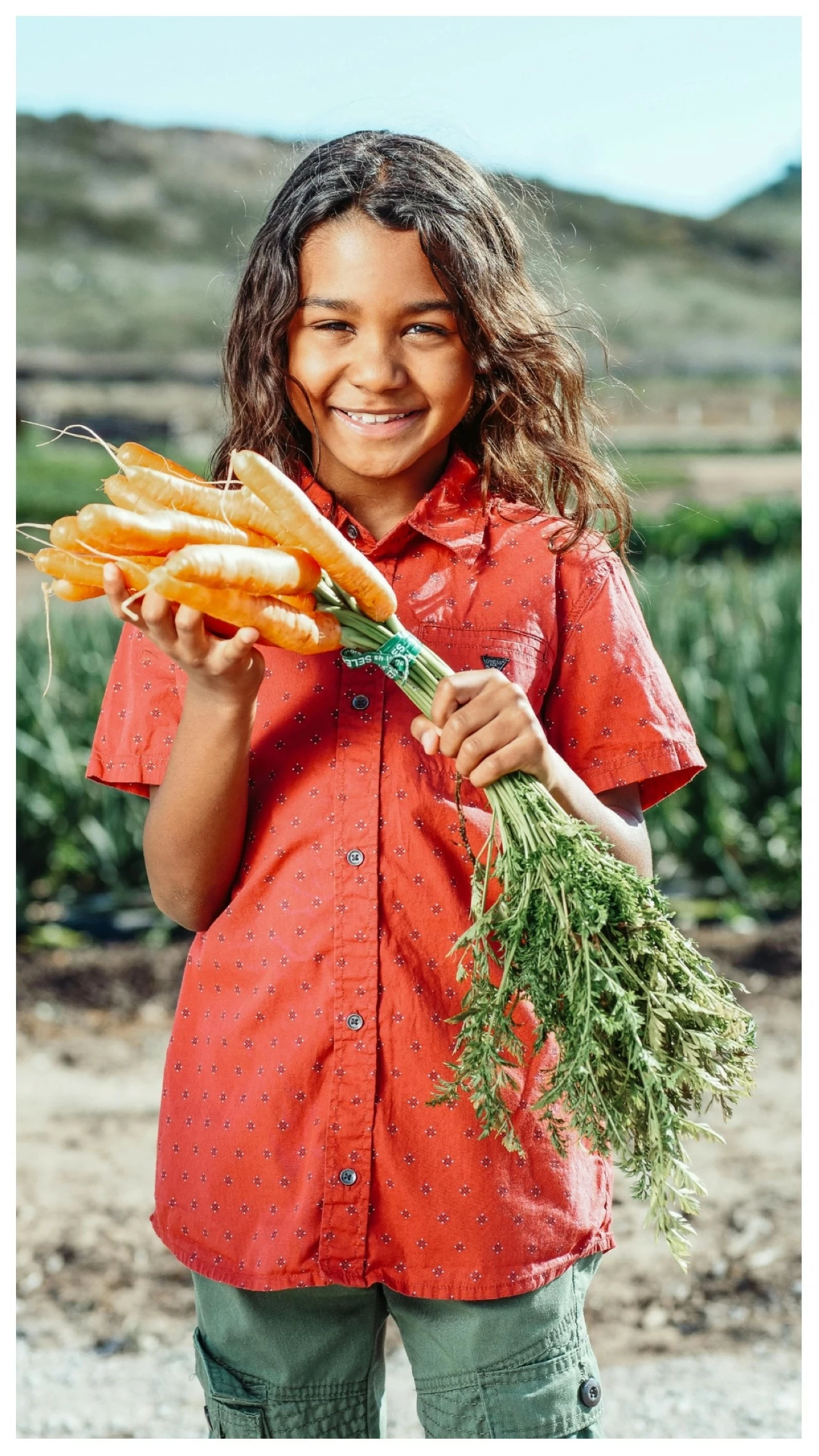 Researchers found that people who closely followed the EAT–Lancet “planetary health” diet were less likely to develop kidney disease.