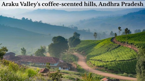 Araku_Valley's_coffee-scented_hills,_Andhra_Pradesh