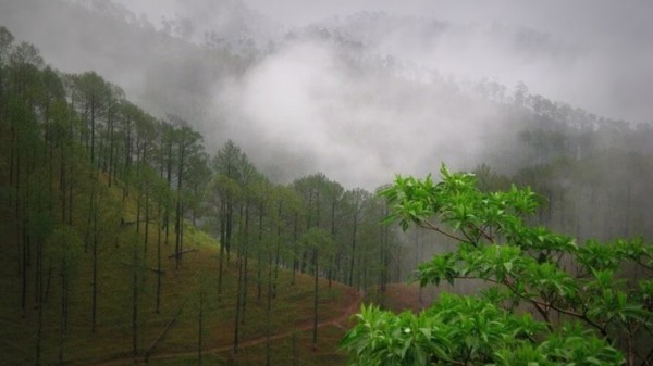 Rains_in_Uttarakhand_hills